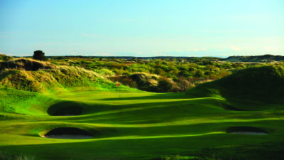 Buca 12 - Royal Birkdale