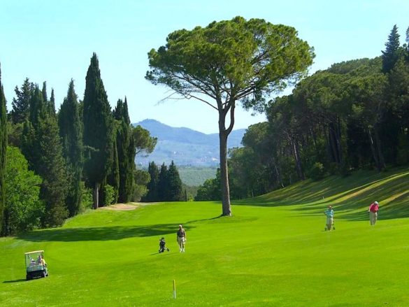 Il Circolo Golf Ugolino Firenze, già premiato in passato per le Categorie ‘Paesaggio’ e ‘Cultural heritage’, ha ottenuto anche il riconiscimento Impegnati nel Verde per la categoria 'Biodiversità'