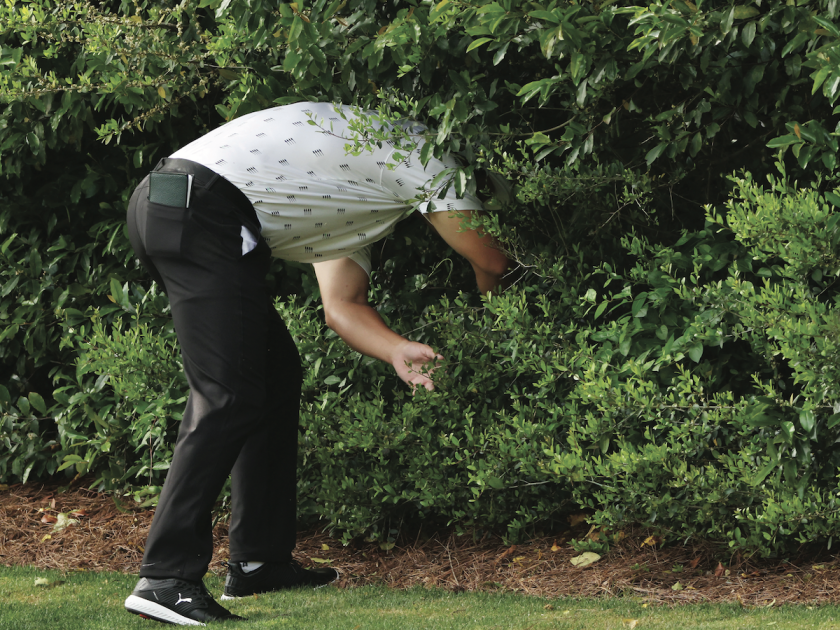 La pallina che non si perde mai (o quasi)